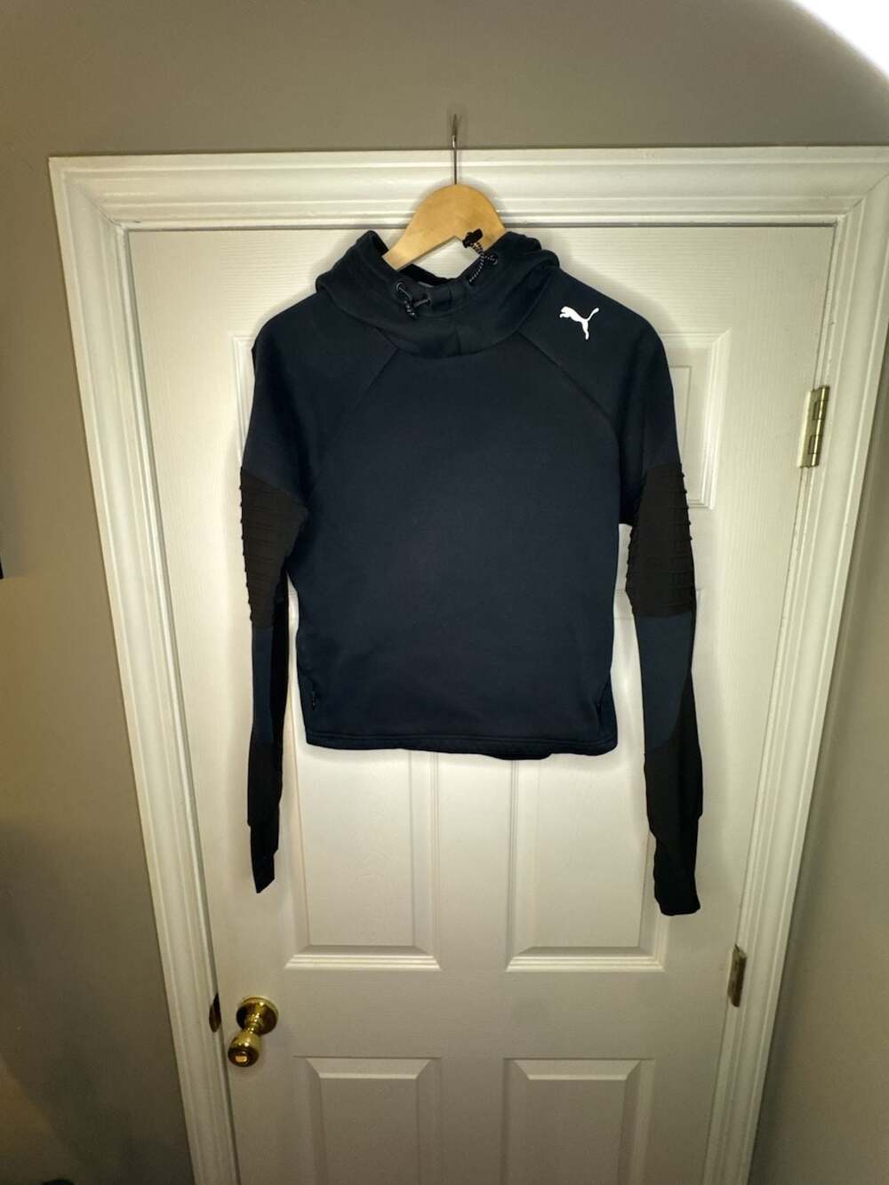 Puma Evostripe DryCELL Athletic Pullover Hoodie with Ribbed Sleeve Detail